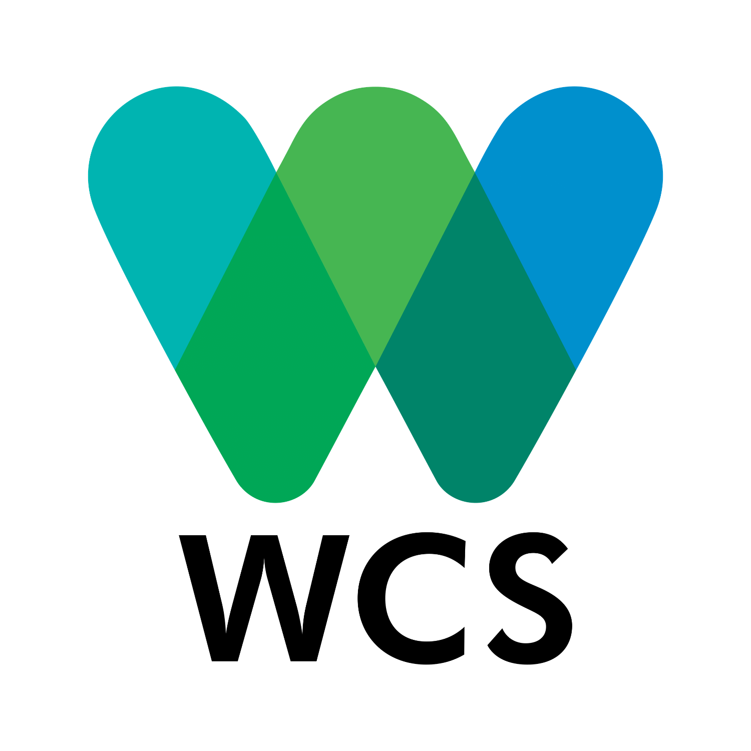 Logo WCS