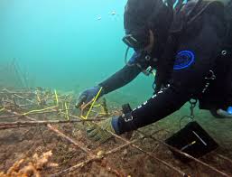 Inisiatif Restorasi di Taman Laut Sulawesi Utara